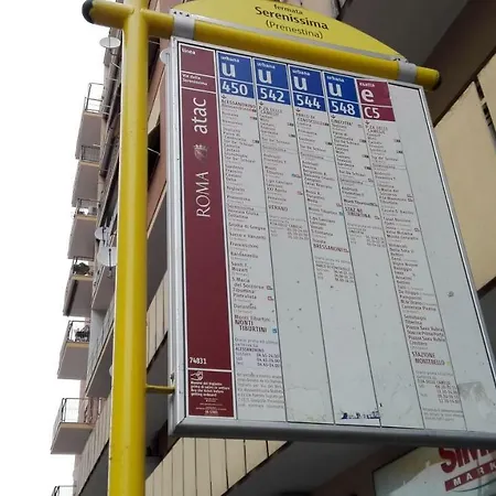 Paolino's * 罗马